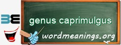 WordMeaning blackboard for genus caprimulgus